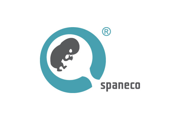 Partner - Multilingual Websites Development - Spaneco ltd.